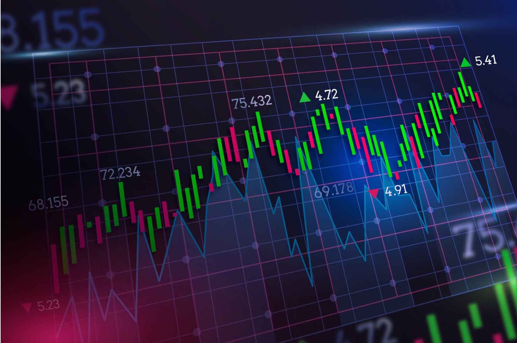 Stock Exchange Investment